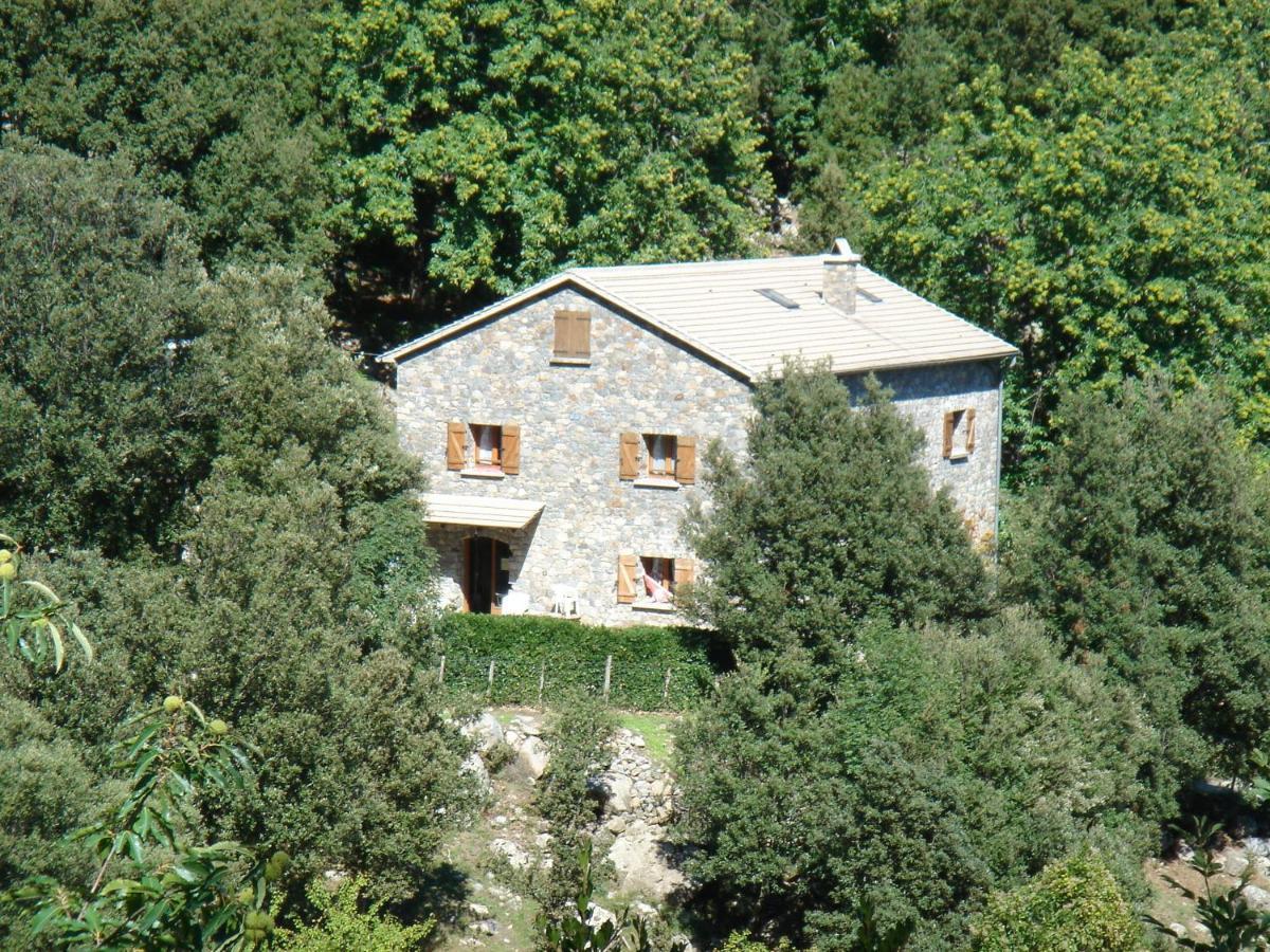 سانتو بيترو دي فُنا Chambre D'Hote "Chez Antoinette Et Charles" المظهر الخارجي الصورة